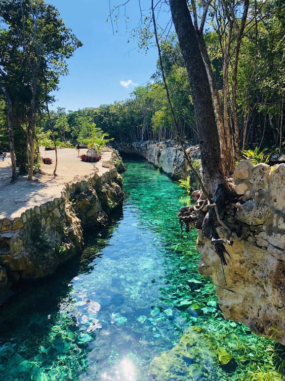 TULUM + CASA TORTUGA