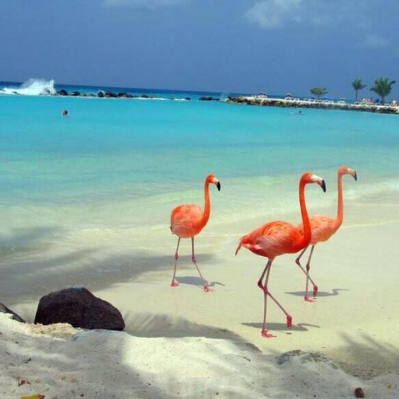 Las Coloradas + Río Lagartos