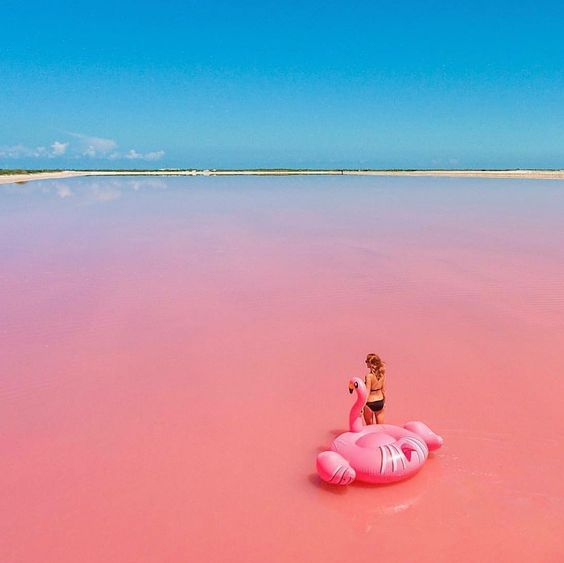 Las Coloradas + Río Lagartos