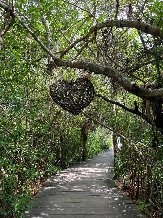 Tulum de aventura (tour cenotes)