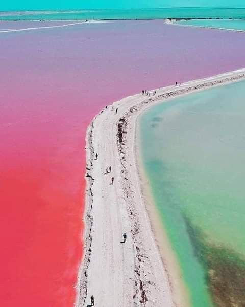 Las Coloradas + Río Lagartos