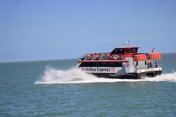 Holbox Ferry + Punta Mosquito